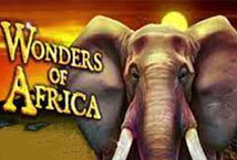 Sumo Sumo